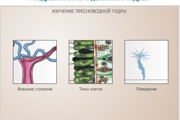 Кракен сайт