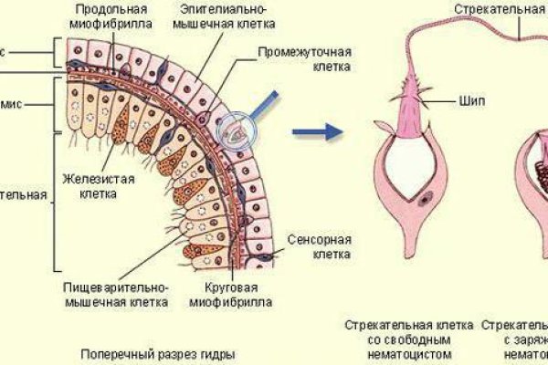 Кракен даркнет как зайти